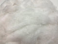Polyfill