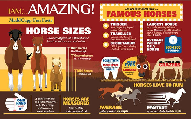 I Am Horse Jigsaw Puzzle