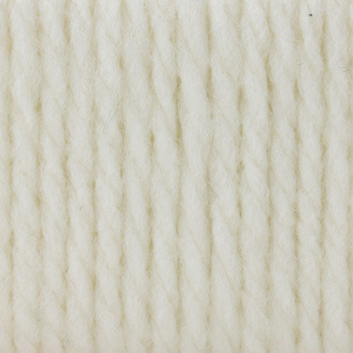 Bernat Softee Chunky Yarn