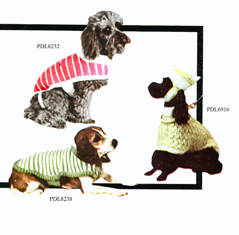 Dog Set Pattern