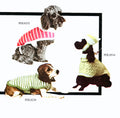 Dog Set Pattern