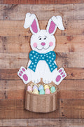 Bunny Basket Plastic Canvas Wall Hanging Kit
