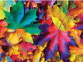 Fall Frenzy Jigsaw Puzzle