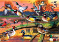 Autumn Feathers Jigsaw Puzzle