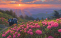 Craggy Mountain Sunset Jigsaw Puzzle