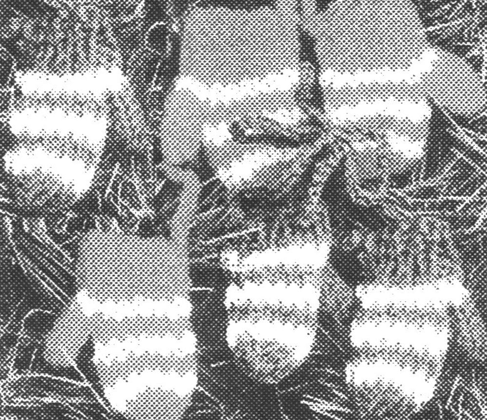 Mitten Ornaments Pattern