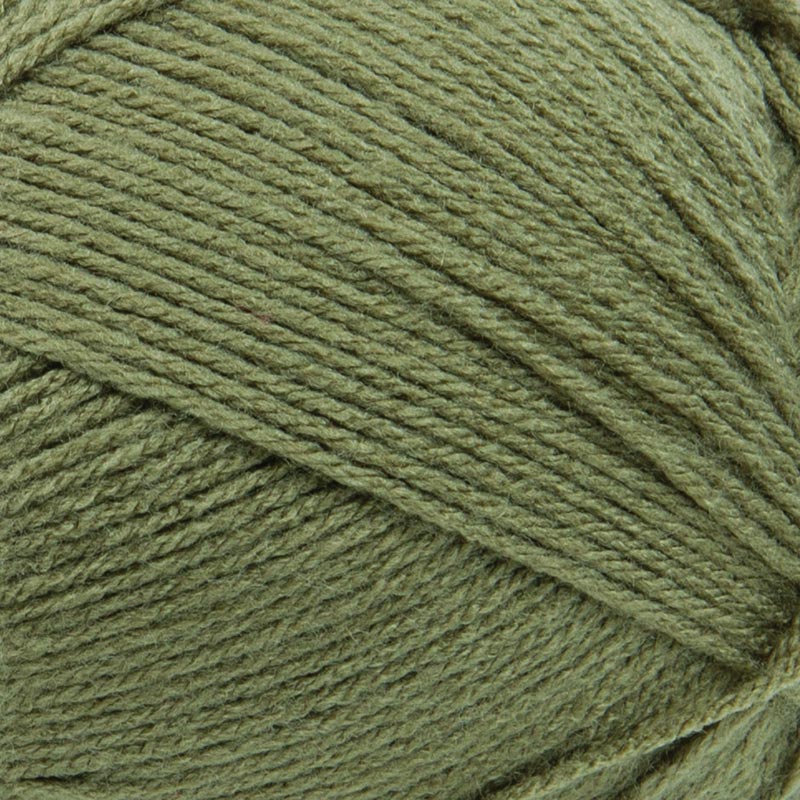 Renewal Throw